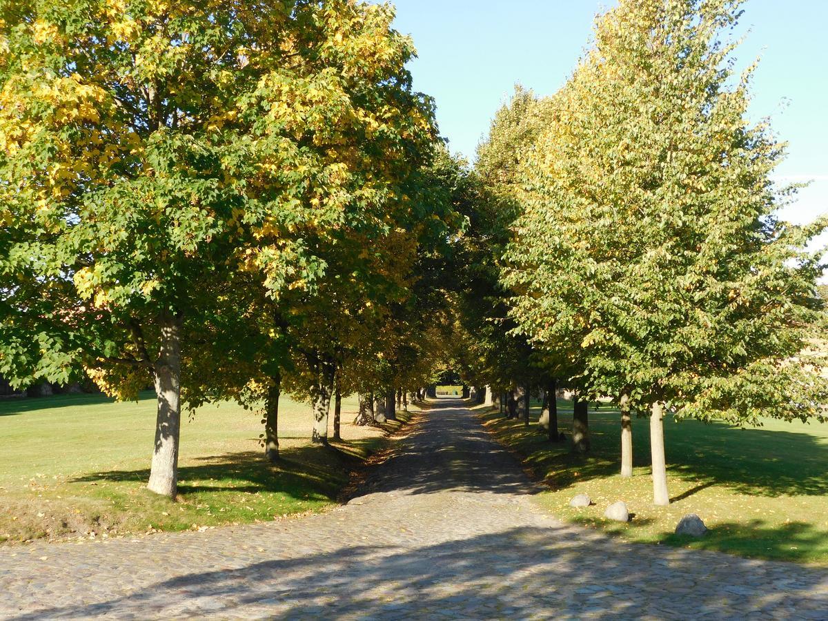 Hotel Relais & Chateaux Gutshaus Stolpe Stolpe an der Peene Exteriér fotografie